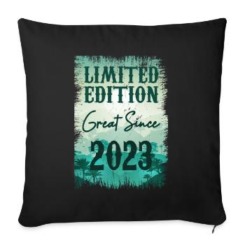 Einzigartig seit 2023 - Sofakissenbezug 45 x 45 cm - Schwarz - Vorne