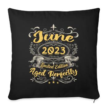 Juni 2023 | Vintage Geschenk 2023 - Sofakissenbezug 45 x 45 cm - Schwarz - Vorne