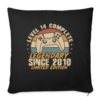 Level 14 Legendary Complete since 2010 - Sofa pillowcase 17,3'' x 17,3'' (45 x 45 cm) - black - Front
