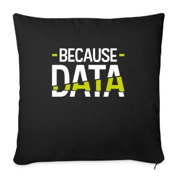 Informatiker - Sofakissenbezug 45 x 45 cm - Schwarz - Vorne