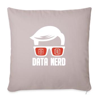 Data Science Analyst Data Scientist - Sofa pillowcase 17,3'' x 17,3'' (45 x 45 cm) - light taupe - Front