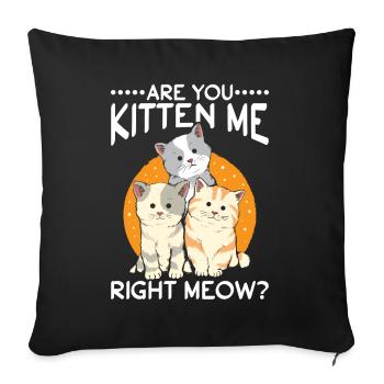 Lustige Katze Zitat Feline Humor - Sofakissenbezug 45 x 45 cm - Schwarz - Vorne