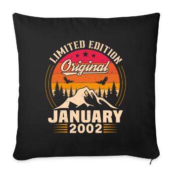 Cadeau D'anniversaire Nées En Janvier 2002 - Housse de coussin décorative 45 x 45 cm - noir - Devant
