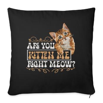 Sarkastische Katze Zitat Feline Humor - Sofakissenbezug 45 x 45 cm - Schwarz - Vorne