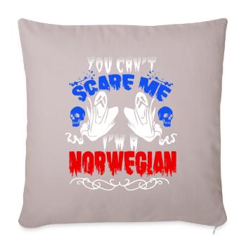 Scare Norwegian - Sofa pillowcase 17,3'' x 17,3'' (45 x 45 cm) - light taupe - Front