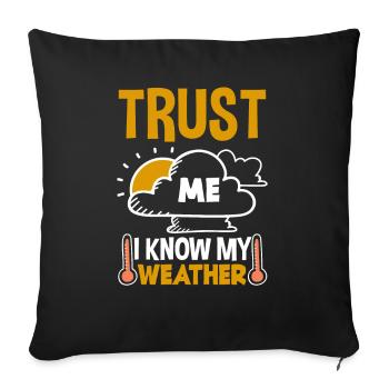 Meteorologe Meteorologie Sturmjäger Geschenk - Sofakissenbezug 45 x 45 cm - Schwarz - Vorne