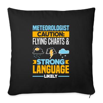 Meteorologist Meteorology Storm Chaser Gift - Sofa pillowcase 17,3'' x 17,3'' (45 x 45 cm) - black - Front