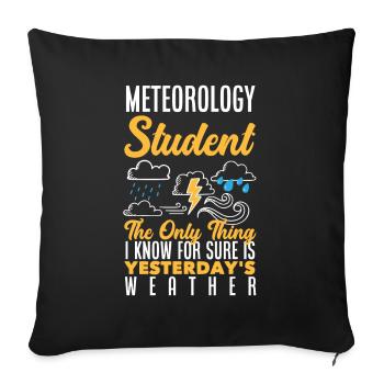 Meteorologist Meteorology Storm Chaser Gift - Sofa pillowcase 17,3'' x 17,3'' (45 x 45 cm) - black - Front