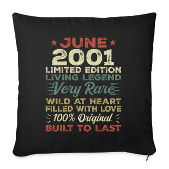Juni 2001 Geburtstag Juni 2001 Geschenk Juni 2001 - Sofakissenbezug 45 x 45 cm - Schwarz - Vorne