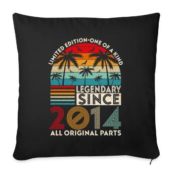 Legendär seit 2014 alle Originalteile - Sofakissenbezug 45 x 45 cm - Schwarz - Vorne