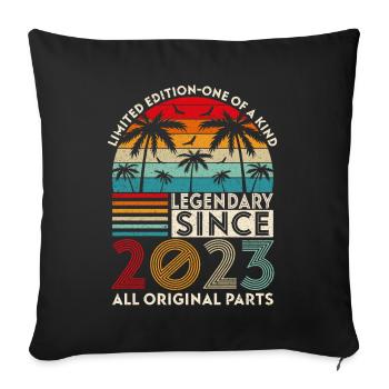 Legendär seit 2023 alle Originalteile - Sofakissenbezug 45 x 45 cm - Schwarz - Vorne