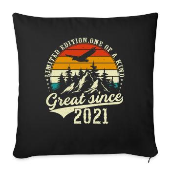 One of a kind since 2021 - Sofa pillowcase 17,3'' x 17,3'' (45 x 45 cm) - black - Front