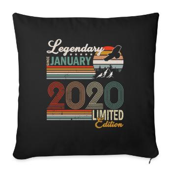 Legendary since January 2020 - Sofa pillowcase 17,3'' x 17,3'' (45 x 45 cm) - black - Front