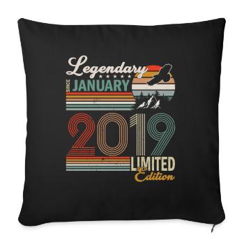 Legendary since January 2019 - Sofa pillowcase 17,3'' x 17,3'' (45 x 45 cm) - black - Front