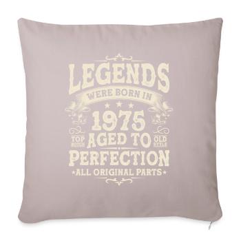 Legendary since 1975 - Sofa pillowcase 17,3'' x 17,3'' (45 x 45 cm) - light taupe - Front