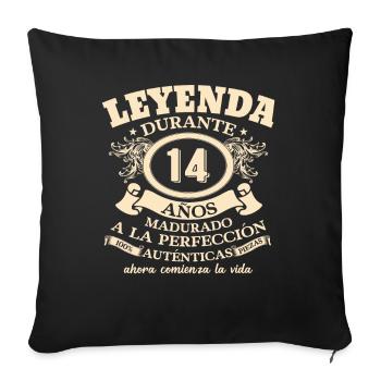 Cadeau d’anniversaire vintage de 14 ans - Housse de coussin décorative 45 x 45 cm - noir - Devant