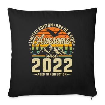 Original 2022 Jahrgang Einzigartiges Design - Sofakissenbezug 45 x 45 cm - Schwarz - Vorne