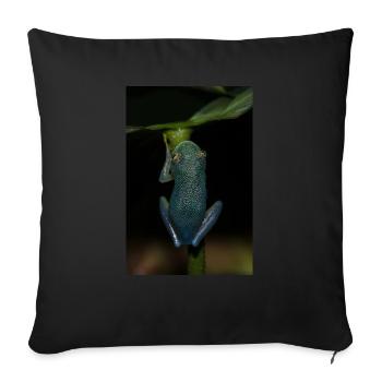 Cochranella granulosa- Glass Frog - Tree Frog - Sofa pillowcase 17,3'' x 17,3'' (45 x 45 cm) - black - Front