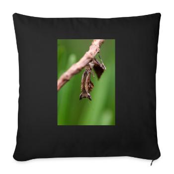Brancsikia freyi Nymph/Cub - Sofa pillowcase 17,3'' x 17,3'' (45 x 45 cm) - black - Front