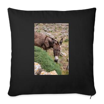 Âne dans un champ Paysage Île de Mykonos - Housse de coussin décorative 45 x 45 cm - noir - Devant