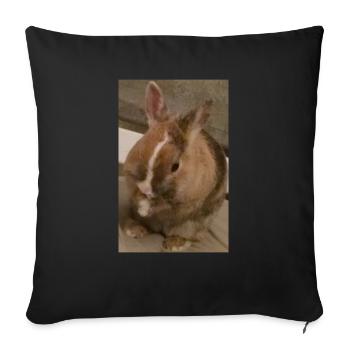 Rabbit - Sofa pillowcase 17,3'' x 17,3'' (45 x 45 cm) - black - Front