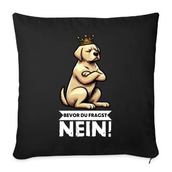 Avant que vous ne demandiez : pas de propriétaire de Labrador Labrador - Housse de coussin décorative 45 x 45 cm - noir - Devant