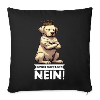 Avant que vous ne demandiez : pas de propriétaire de Labrador Labrador - Housse de coussin décorative 45 x 45 cm - noir - Devant