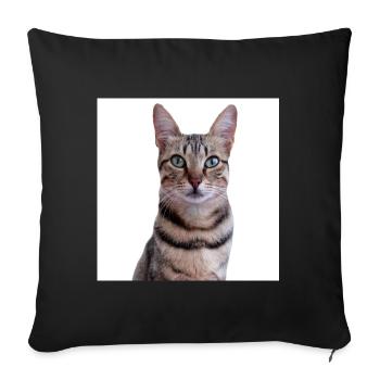 Chat chat chaton doux - Housse de coussin décorative 45 x 45 cm - noir - Devant