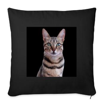 Cat Cats - Sofa pillowcase 17,3'' x 17,3'' (45 x 45 cm) - black - Front