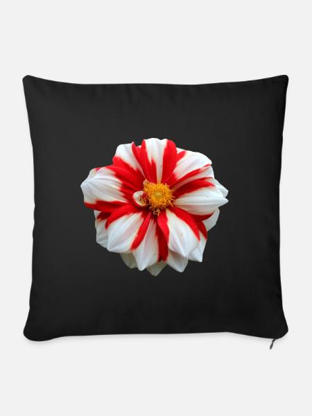 Blume weiß rot rote Blume Blumen rot weiße Blumen - Sofakissenbezug 45 x 45 cm - Schwarz