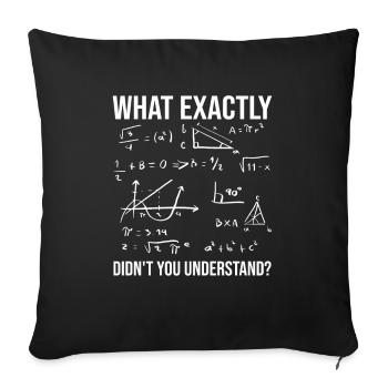 N’avez-vous pas compris la citation du professeur de mathématiques - Housse de coussin décorative 45 x 45 cm - noir - Devant