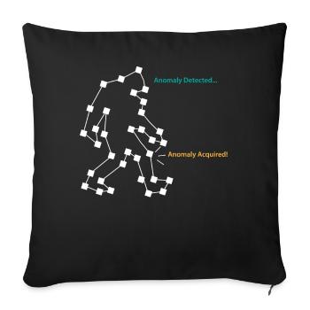 SLS Camera Ghost Hunt, Ghost Hunter - Sofa pillowcase 17,3'' x 17,3'' (45 x 45 cm) - black - Front