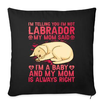 Labrador - Housse de coussin décorative 45 x 45 cm - noir - Devant