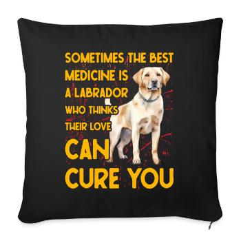 Labrador drôle de dicton - Housse de coussin décorative 45 x 45 cm - noir - Devant