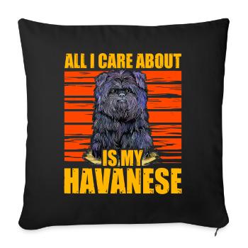 All i care about is my Havanese - Sofa pillowcase 17,3'' x 17,3'' (45 x 45 cm) - black - Front