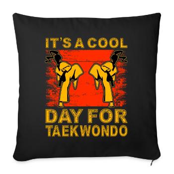 It's a cool day for Taekwondo - Sofa pillowcase 17,3'' x 17,3'' (45 x 45 cm) - black - Front