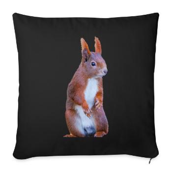 Eichhönchen - Housse de coussin décorative 45 x 45 cm - noir - Devant