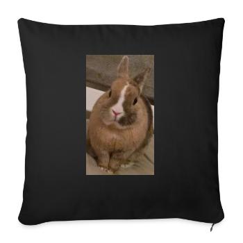 Rabbit - Sofa pillowcase 17,3'' x 17,3'' (45 x 45 cm) - black - Front