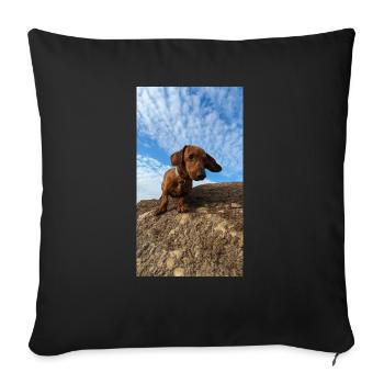 PXL-20221217 140939962 - Sofakissenbezug 45 x 45 cm - Schwarz - Vorne