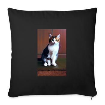 Cat | Pet | Cat Fan | cute | Kitten - Sofa pillowcase 17,3'' x 17,3'' (45 x 45 cm) - black - Front