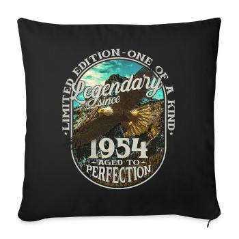 Legendary since 1954 - Sofa pillowcase 17,3'' x 17,3'' (45 x 45 cm) - black - Front