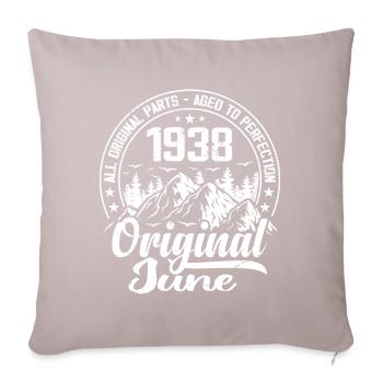 Juni 1938 Original: 86 Jahre altes Geburtstagsgeschenk - Sofakissenbezug 45 x 45 cm - helles Taupe - Vorne