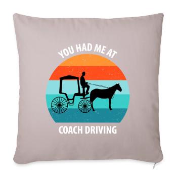 Calèche de cocher Calèche tirée par des chevaux Calèche - Housse de coussin décorative 45 x 45 cm - taupe clair - Devant