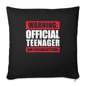 Teenage 13th birthday 13 years Bday gift - Sofa pillowcase 17,3'' x 17,3'' (45 x 45 cm) - black - Front