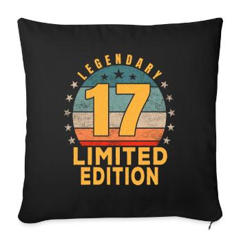 Birthday Legendary 17 Years Limited Edition - Sofa pillowcase 17,3'' x 17,3'' (45 x 45 cm) - black - Front