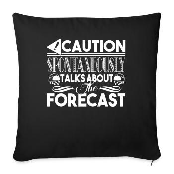 Meteorologist Talks About Forecast - Sofa pillowcase 17,3'' x 17,3'' (45 x 45 cm) - black - Front