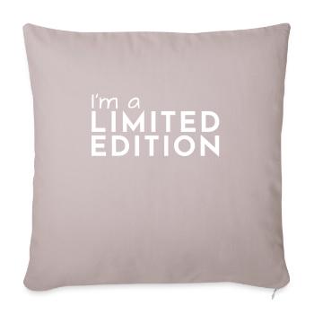 Unique special - Sofa pillowcase 17,3'' x 17,3'' (45 x 45 cm) - light taupe - Front