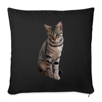 chat, chaton - Housse de coussin décorative 45 x 45 cm - noir - Devant