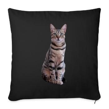 Chat Chaton Tigre Chat Chat Chat Cadeau - Housse de coussin décorative 45 x 45 cm - noir - Devant