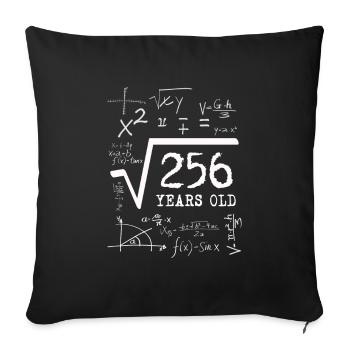 Anniversaire Math - Racine à partir de 256 ans - Housse de coussin décorative 45 x 45 cm - noir - Devant